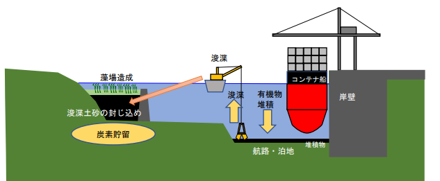 造成干潟の基盤材として有効活用した浚渫土砂中の有機炭素の残存率に関する基礎調査