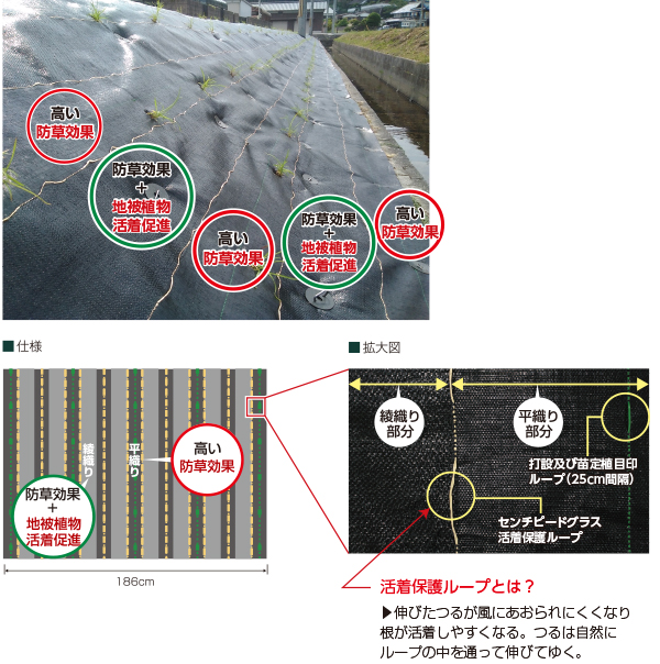 防草・地被植物活着促進シート「べた～とシート」(QS-230001-A)