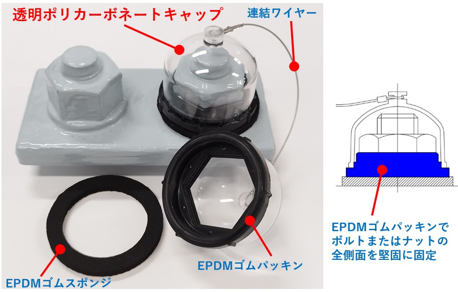 透明ボルトキャップ（シェルポンズ）(SK-230003-A)