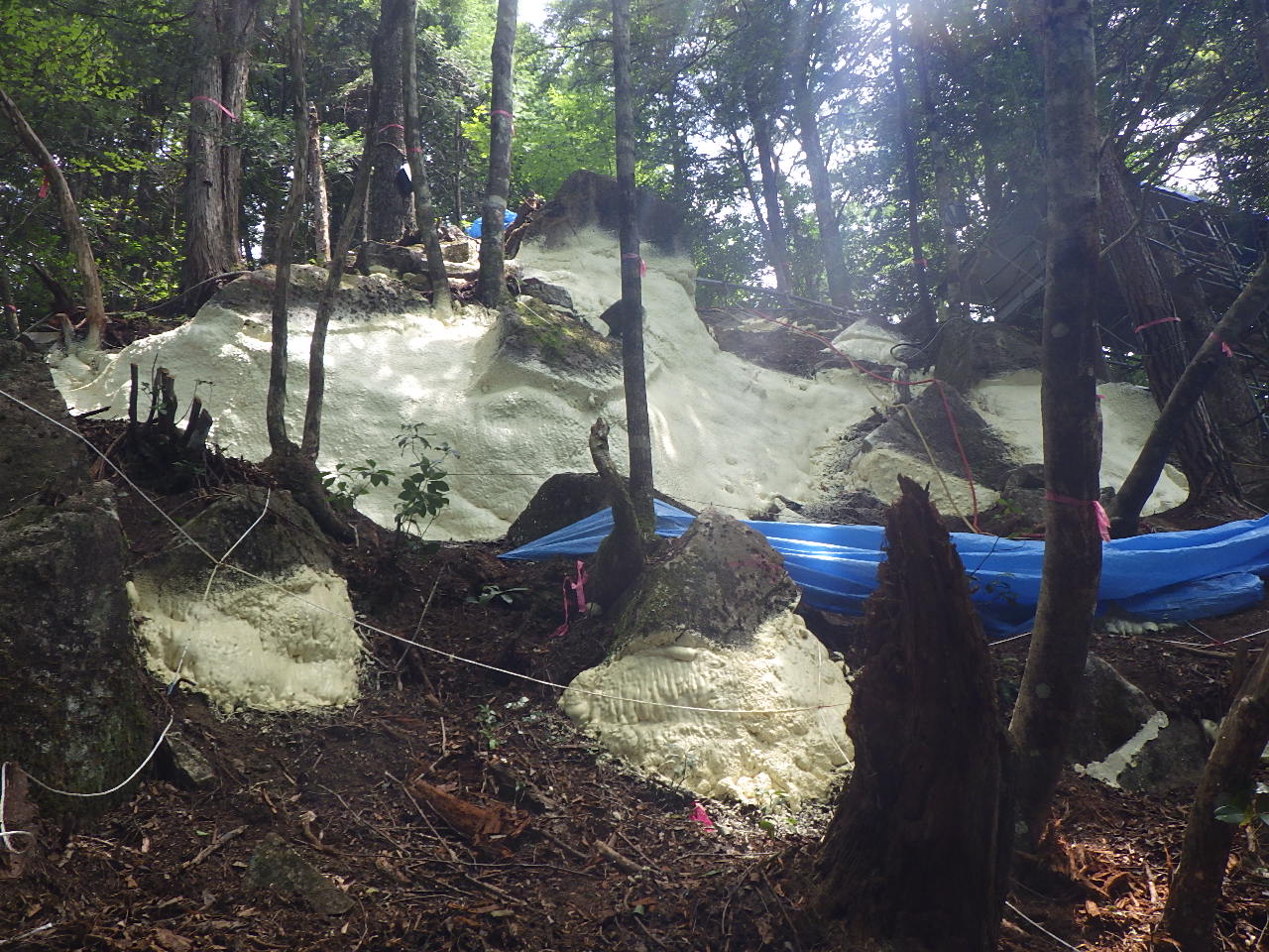 落石発生源PUR工法(CB-230010-A)