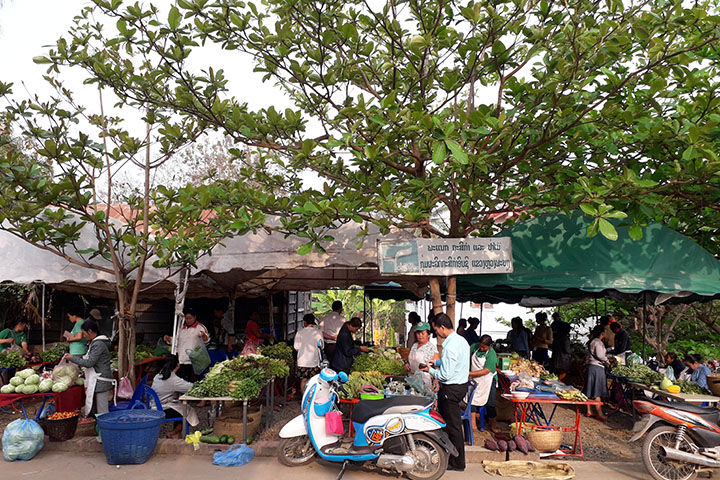 ラオス：クリーン農業開発プロジェクト