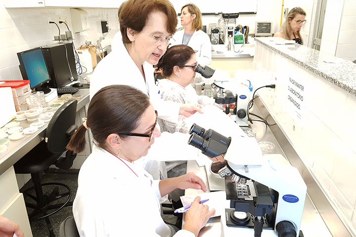 ブラジルと日本の薬剤耐性を含む真菌感染症診断に関する研究とリファレンス協力体制強化プロジェクト