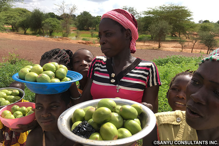 ブルキナファソ全国低湿地開発計画策定プロジェクト