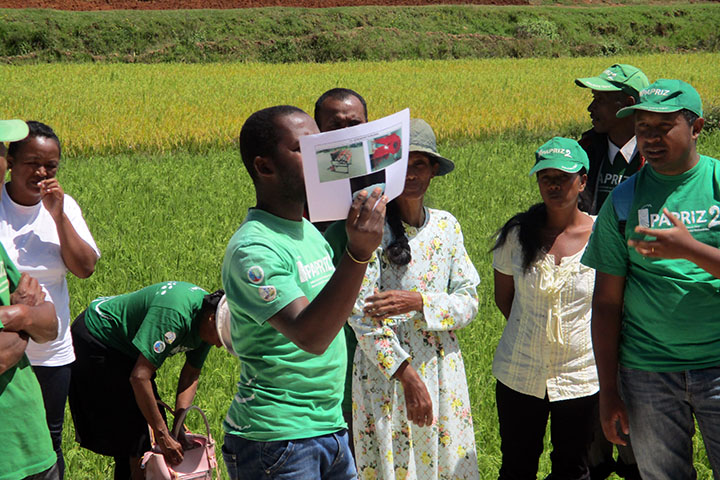 マダガスカル：コメセクター生産性向上及び産業化促進支援プロジェクト