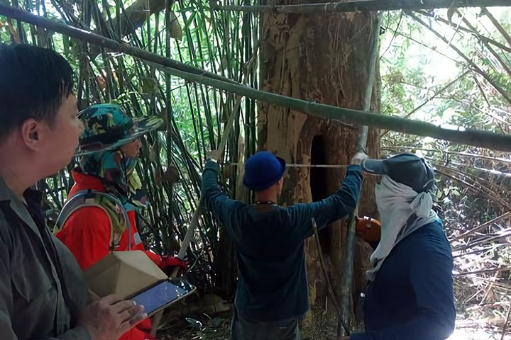 ラオス：森林戦略実施促進プロジェクト