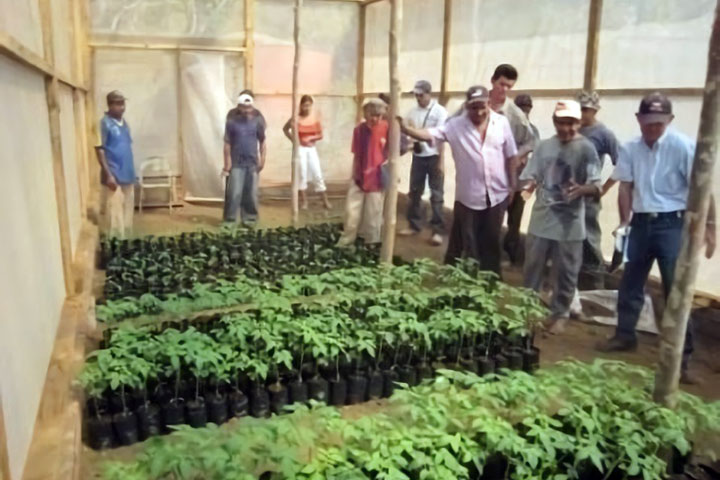 エルサルバドル：東部地域零細農民支援プロジェクト