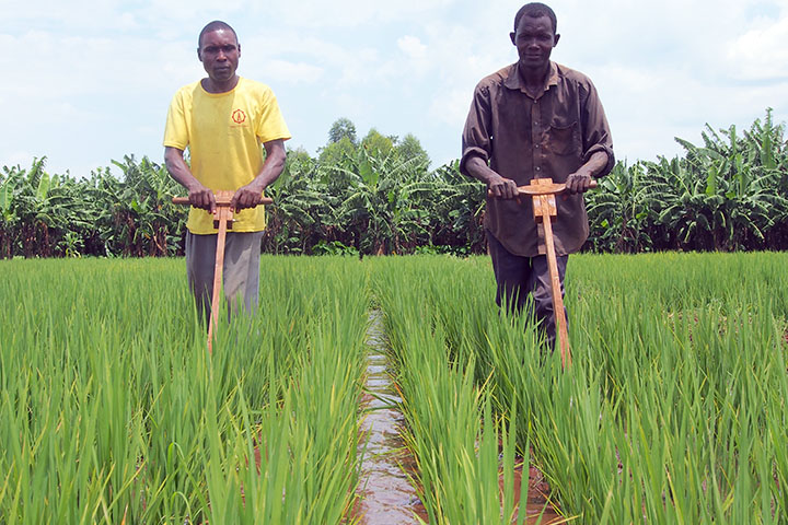 アウガンダ：タリ流域地域灌漑施設維持管理能力強化プロジェクト