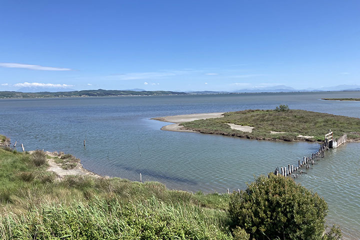 アルバニア：ディヴィアカ・カラヴァスタ国立公園における生態系に基づく管理に係る能力開発プロジェクト