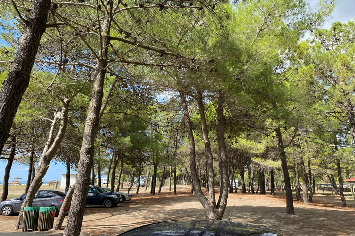 モンテネグロ：国家森林火災情報システム（NFFIS）とEco-DRRによる災害リスク削減のための能力強化プロジェクト