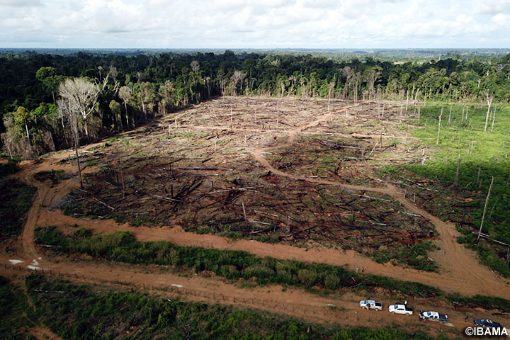 ブラジル：先進的レーダー衛星及びAI技術を用いたブラジルアマゾンにおける違法森林伐採管理改善プロジェクト