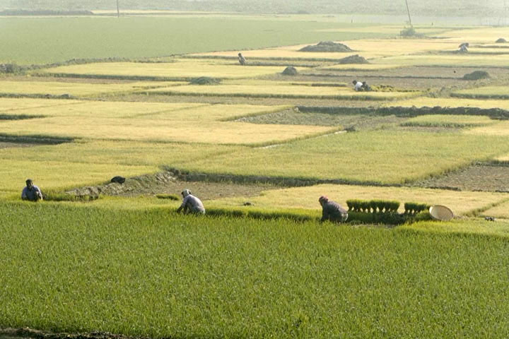 バングラデシュ小規模水資源開発事業（フェーズ2）