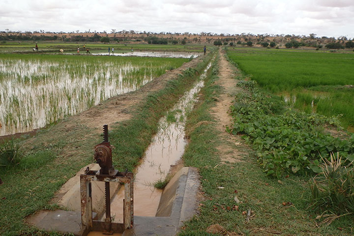 ニジェール灌漑稲作振興のための農業水利整備公社機能強化計画