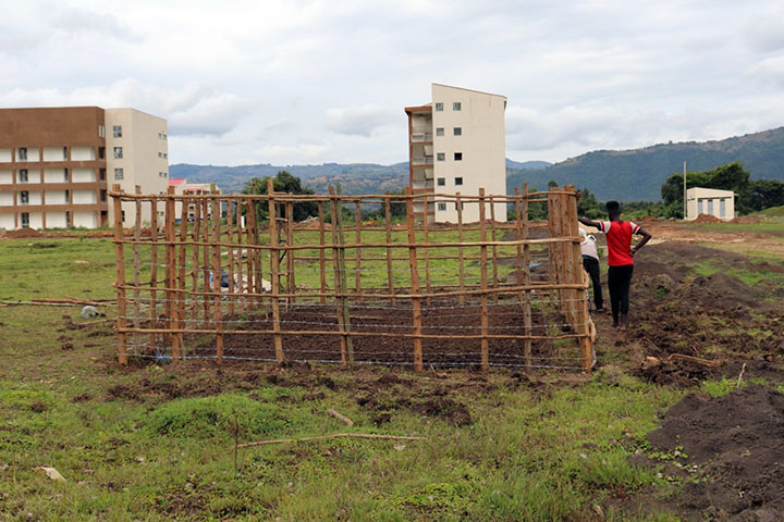 エチオピア：特殊土地盤上道路災害低減に向けた植物由来の土質改良材の開発と運用モデル