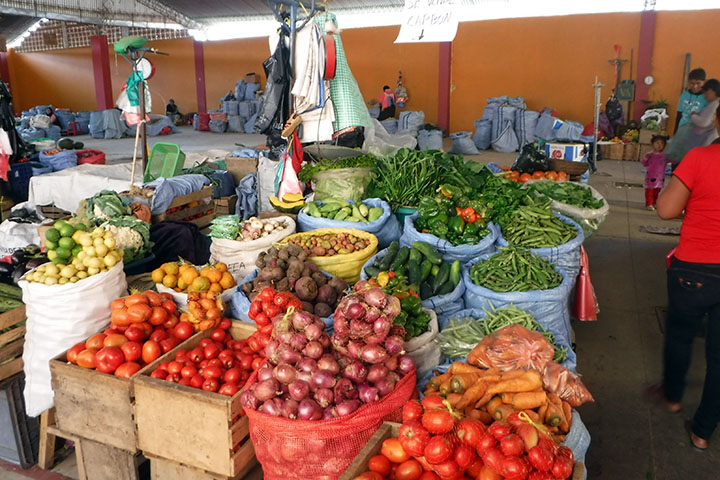 ボリビア：サンタクルス県インクルーシブ・フードバリューチェーン振興プロジェクト