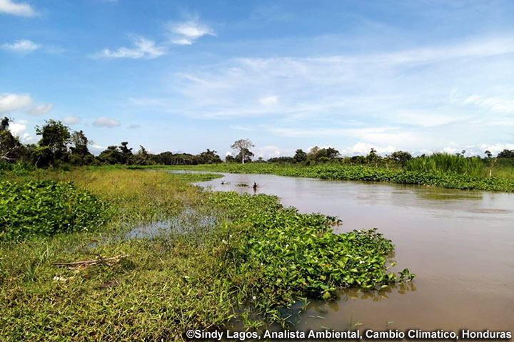 中南米地域：SICA地域における生物多様性の統合的管理と保全に関する能力強化プロジェクト