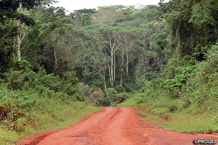 カメルーン持続的森林エコシステム管理能力強化プロジェクト