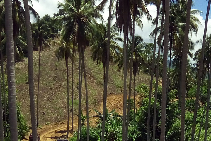 フィリピン：ミンダナオ紛争影響地域道路ネットワーク整備事業
