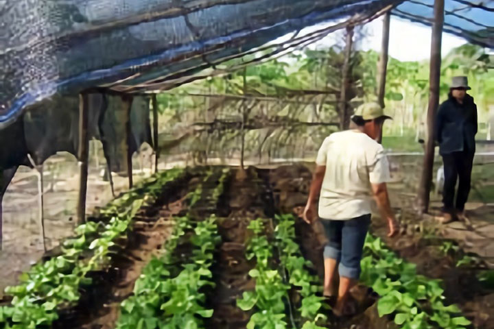 パナマ ：アラフエラ湖流域総合管理・参加型村落開発プロジェクト