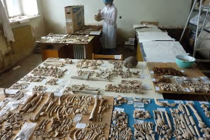 アルメニア歴史文化遺産科学研究センター考古学資料修復・保存機材整備計画