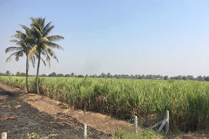 インド：ムンバイ・アーメダバード間高速鉄道建設事業（第二期）