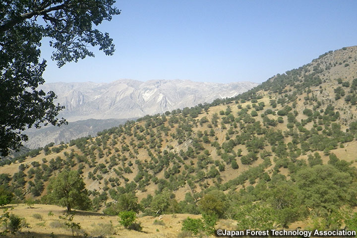 イラン ：カルーン河上流域における参加型森林・草地管理能力強化プロジェクト