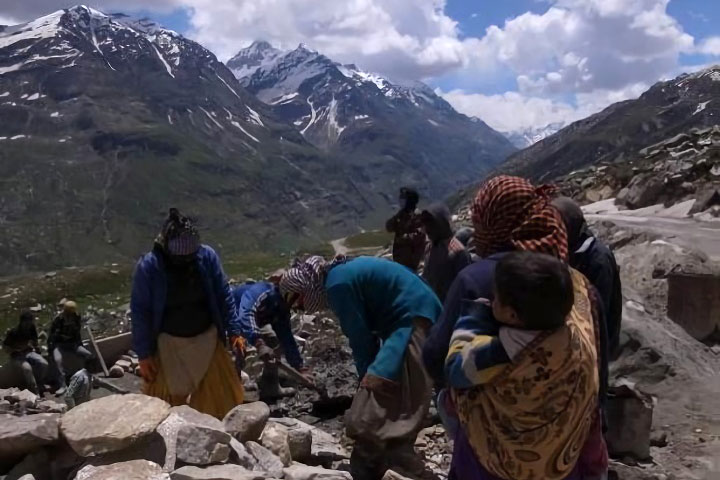 インド：ヒマーチャル・プラデシュ州森林生態系保全・生計改善事業