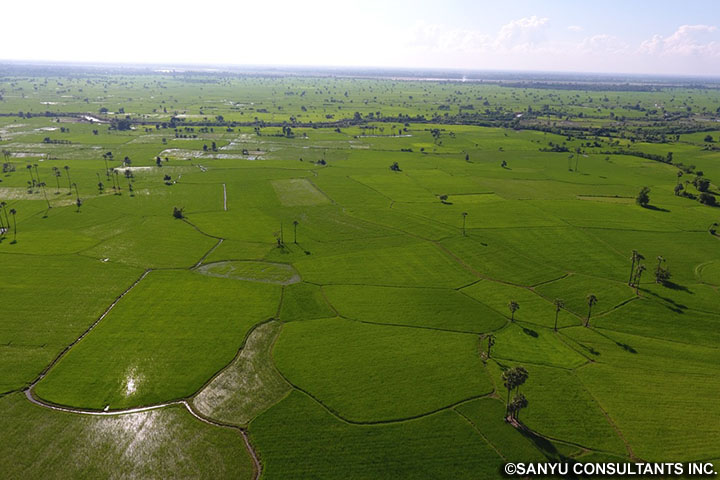 ミャンマー農業所得向上事業