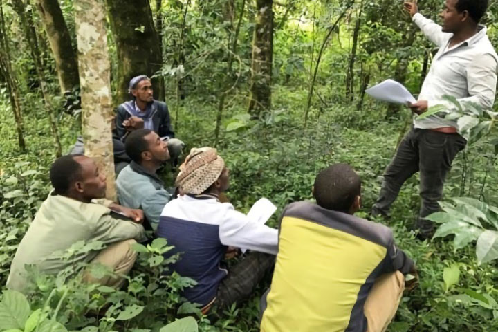 エチオピア：ベレテ・ゲラ参加型森林管理計画プロジェクトフェーズ2
