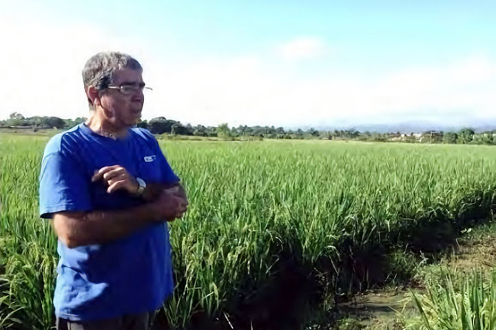 キューバ：自由流通米証明種子の生産・普及システムの強化プロジェクト