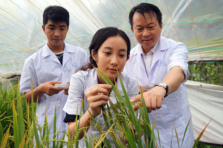 ベトナム：気候変動下のメコンデルタ地域における持続可能な発展に向けた産官学連携強化プロジェクト