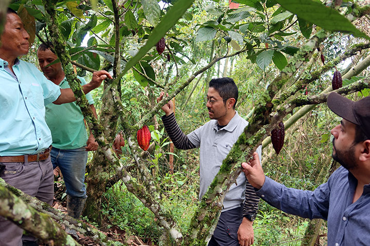 コロンビア：平和構築に資する包摂性を確保した農業農村開発事業強化プロジェクト