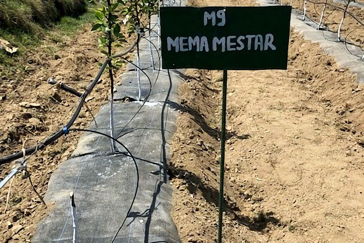 インド：ウッタラカンド州統合的園芸農業開発事業