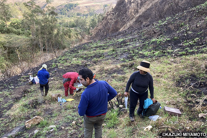 ペルー：アンデス-アマゾンにおける山地森林生態系保全のための統合型森林管理システムモデルの構築プロジェクト