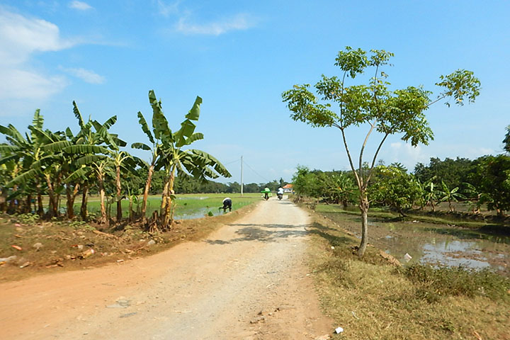 インドネシア:パティンバン港開発事業(第一期) インドネシア:パティンバン港開発事業(第一期)