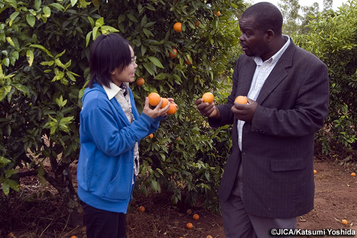 マラウイ：一村一品運動のための制度構築と人材育成プロジェクト