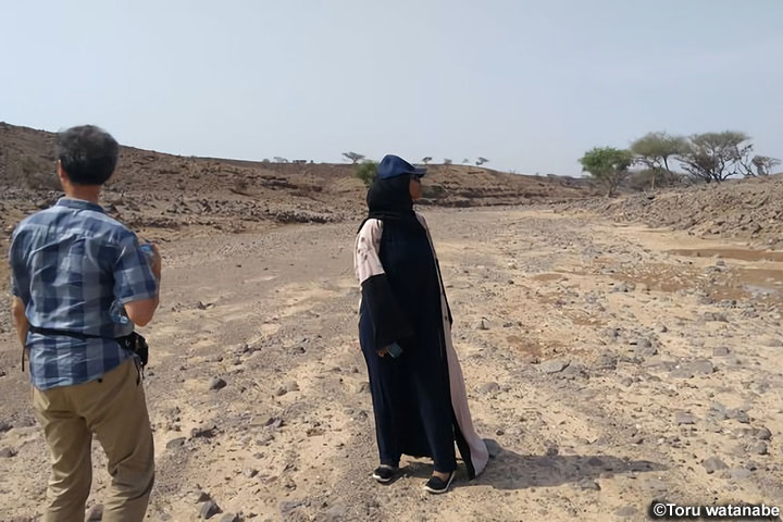 ジブチにおける広域緑化ポテンシャル評価に基づいた発展的・持続可能水資源管理技術確立に関する研究