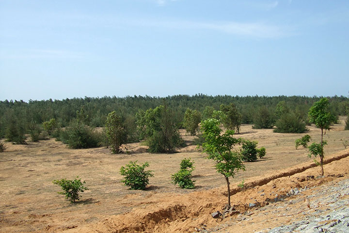 インド:チェンナイ海水淡水化施設建設事業(第一期) インド:チェンナイ海水淡水化施設建設事業(第一期)