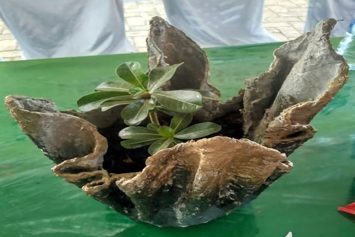 インドネシア：スラウェシ地域開発能力向上プロジェクト