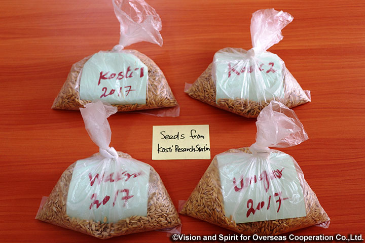 スーダン稲作振興能力強化プロジェクト スーダン稲作振興能力強化プロジェクト