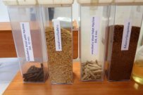 タイ：バイオマス・廃棄物資源のスーパークリーンバイオ燃料への触媒転換技術の開発