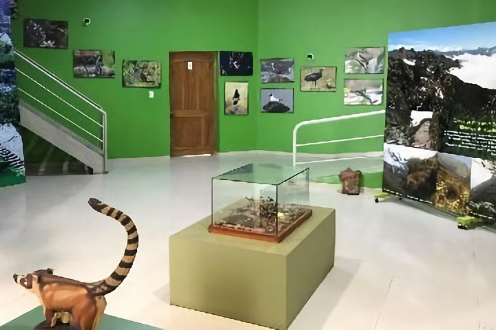 ペルー：ピスカクチョ地区のマチュ・ピチュ歴史保護区ビジターセンター展示機材整備計画