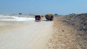 パキスタン：農村振興道路建設事業（第二期）（シンド州）