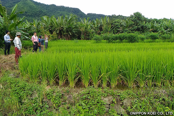 インド：ミゾラム州持続可能な農業・灌漑開発のための能力強化プロジェクト