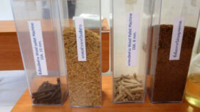 タイ：バイオマス・廃棄物資源のスーパークリーンバイオ燃料への触媒転換技術の開発