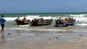 チュニジア：沿岸水産資源の持続的利用計画プロジェクト