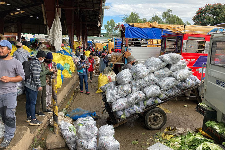 フィリピン：園芸作物におけるフードバリューチェーン改善プロジェクト