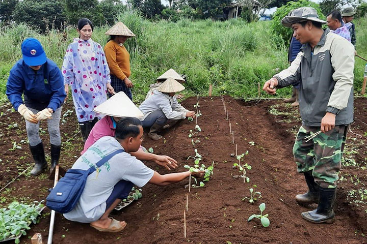 ラオス：フードバリューチェーン強化プロジェクト