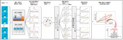 ブートストラップ法を用いた高潮・高波の偶然的不確実性の評価
