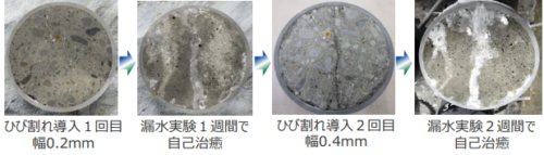 微生物を高度利用したバイオスマートコンクリートを産学官連携で共同開発～強アルカリ環境でも代謝活動可能な微生物を獲得～