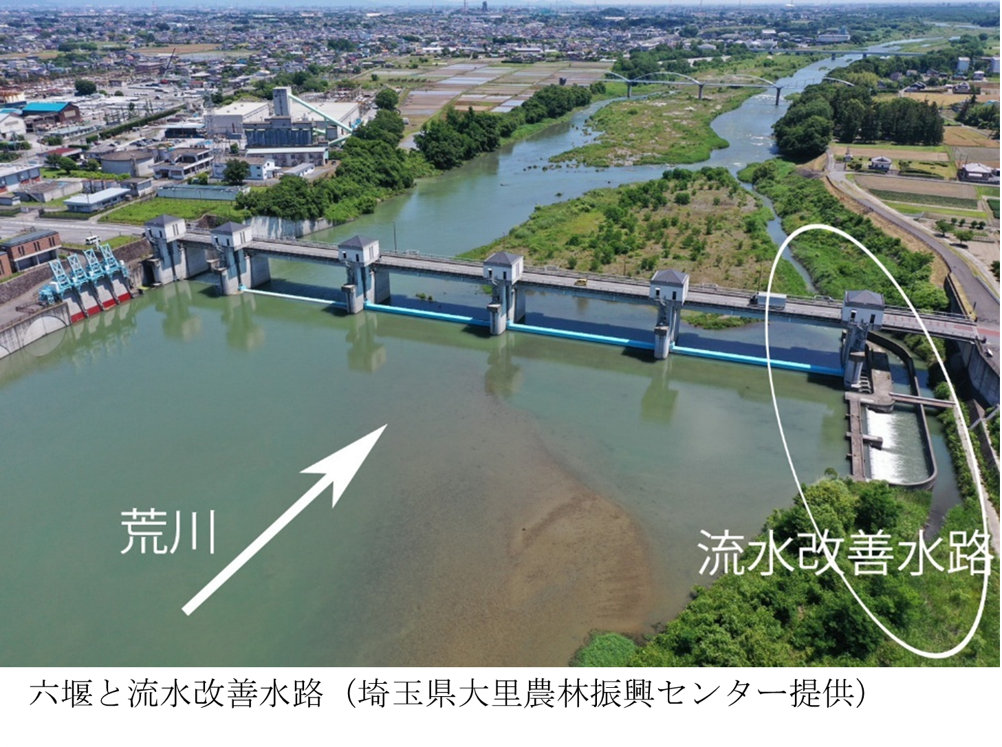 六堰と流水改善水路　～埼玉県内の河川利用施設を訪ねて～